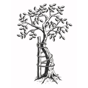 Praxis für Orthopädie und Unfallchirurgie Kamen Praxis für Orthopädie und Unfallchirurgie Kamen - Logo