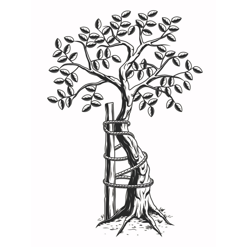 Praxis für Orthopädie und Unfallchirurgie Kamen Praxis für Orthopädie und Unfallchirurgie Kamen - Logo